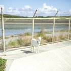 ホームページをリリースいたしました。