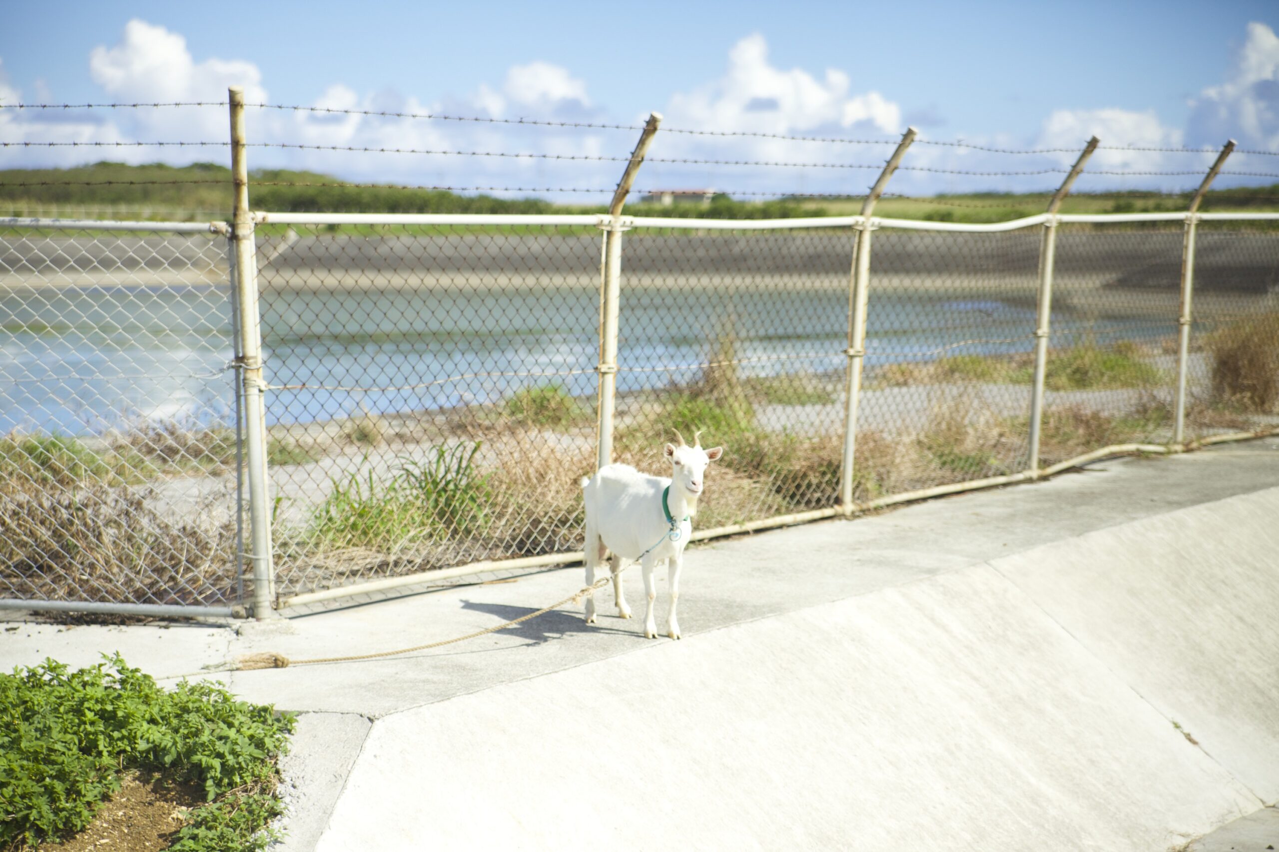 ホームページをリリースいたしました。の画像